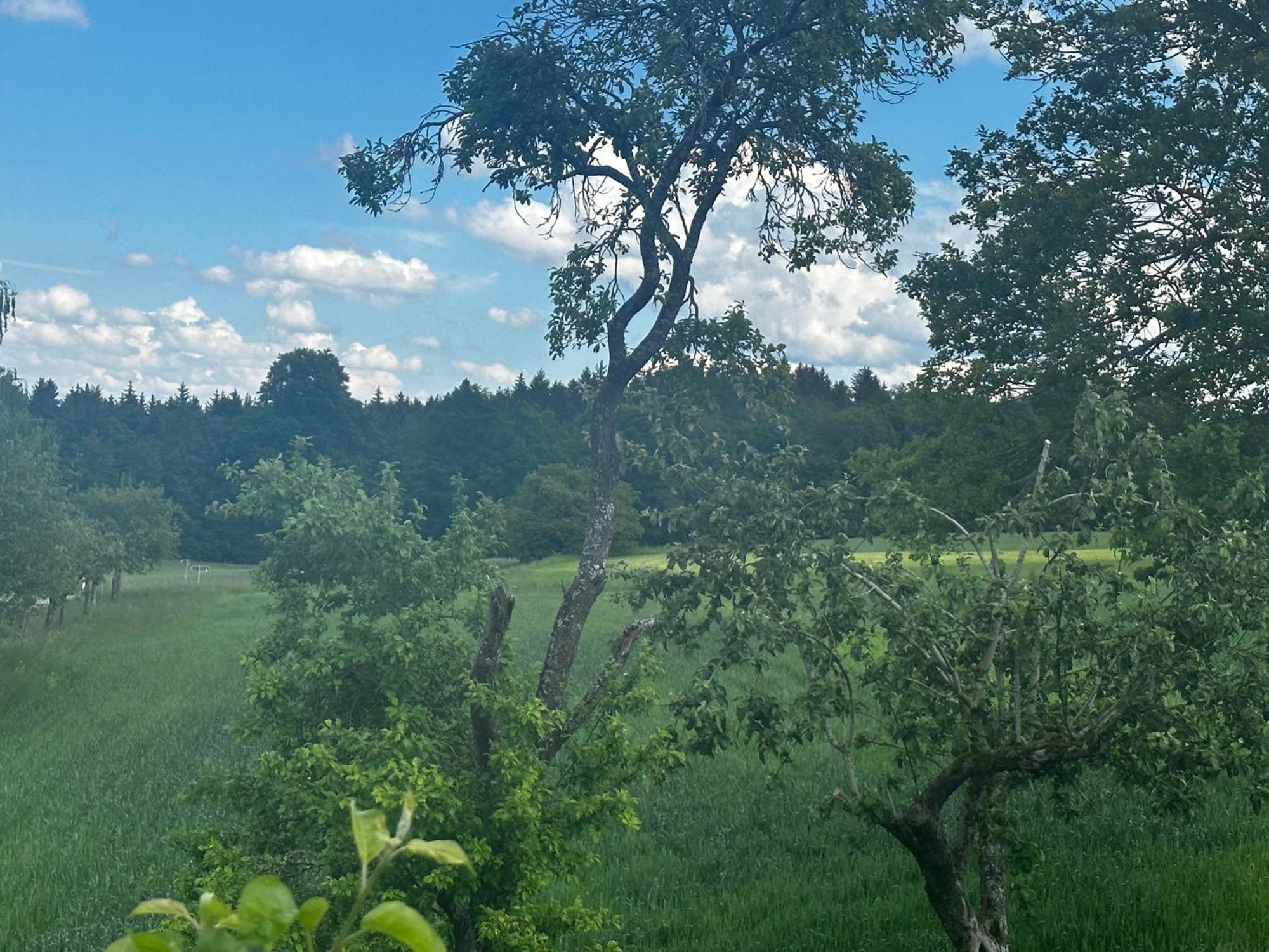 Ferienunterkunft Schwaebischer Wald Oberrot Extérieur photo